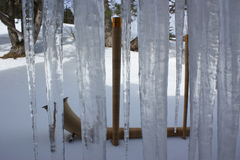 dsc01961.jpg