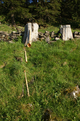 dsc02394.jpg